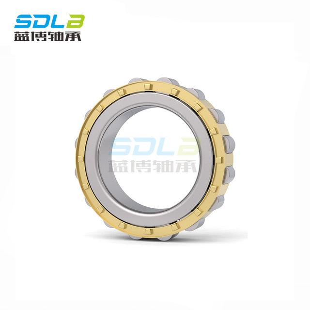 N1011M bearing