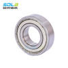 6019 bearings