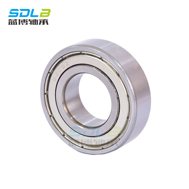 6419 bearing