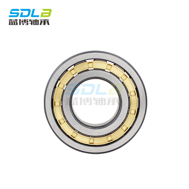 N1013M bearing