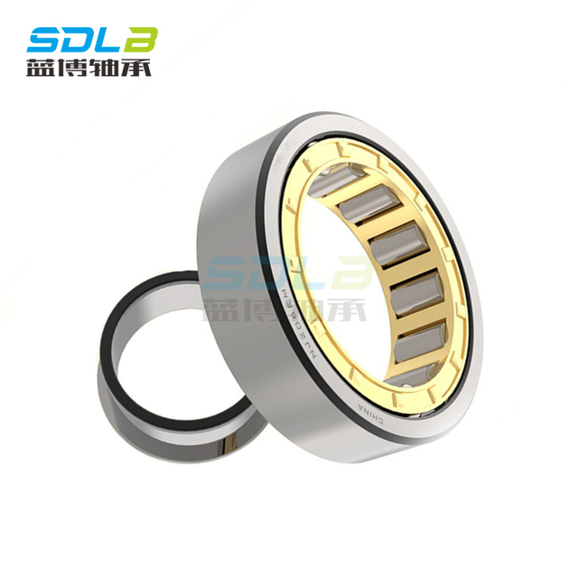 N1019M bearing