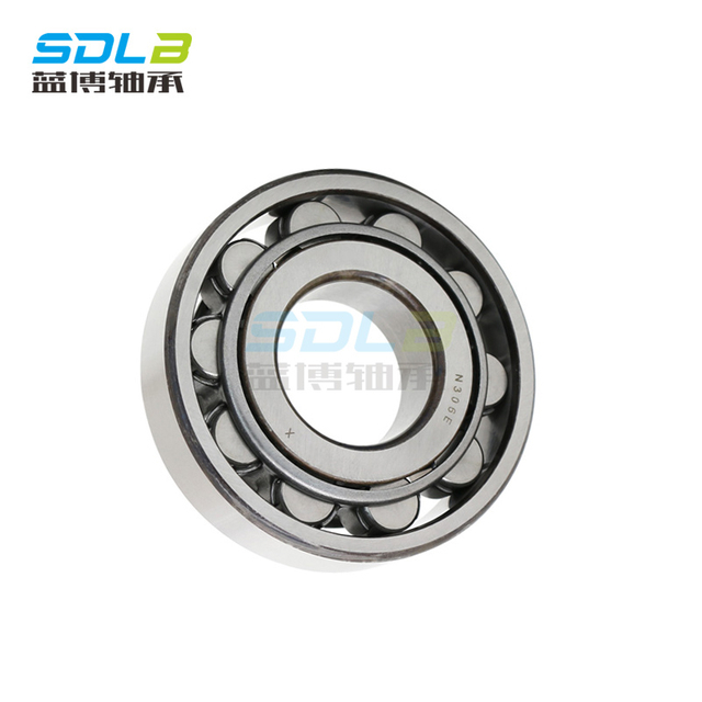 N1007M bearing