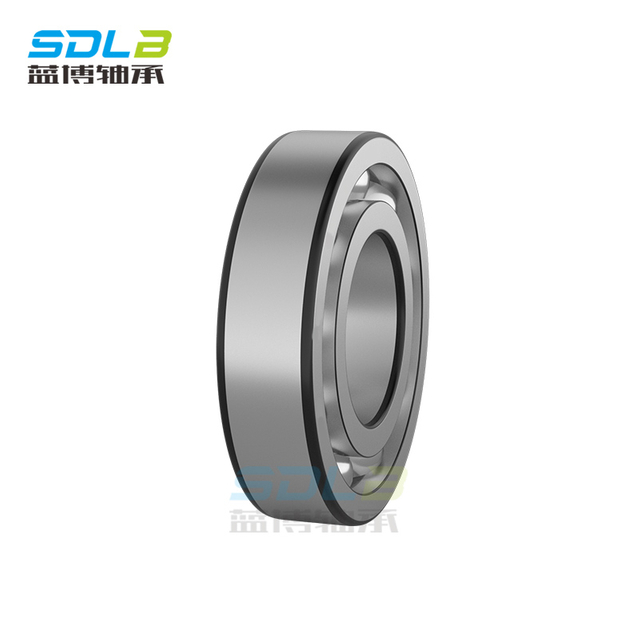 6009 bearings