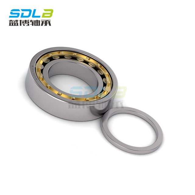 N1012M bearing