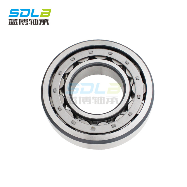 N1021M bearing