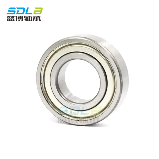 6009-RS bearings